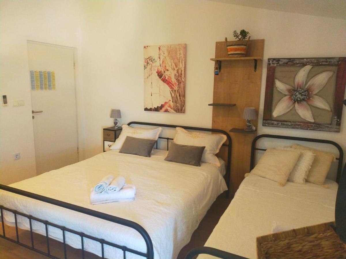 Apartman Suzana Sindija Bibinje Exteriér fotografie